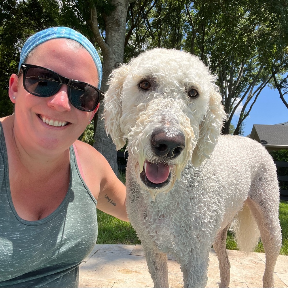 Meet your Posher, Steph